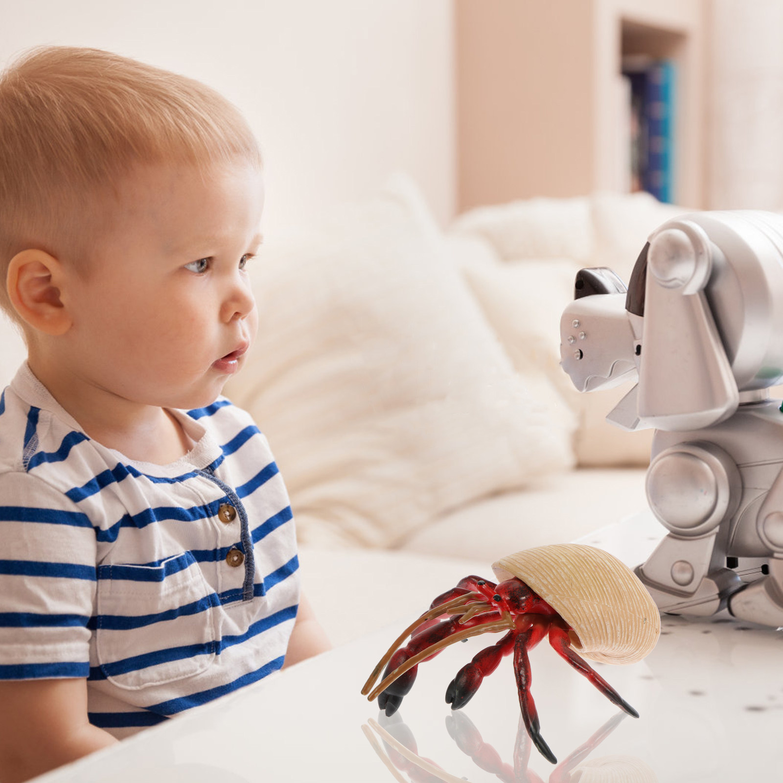 Levendige heremietkreeft-simul - Kids Home Education recensie en prijs